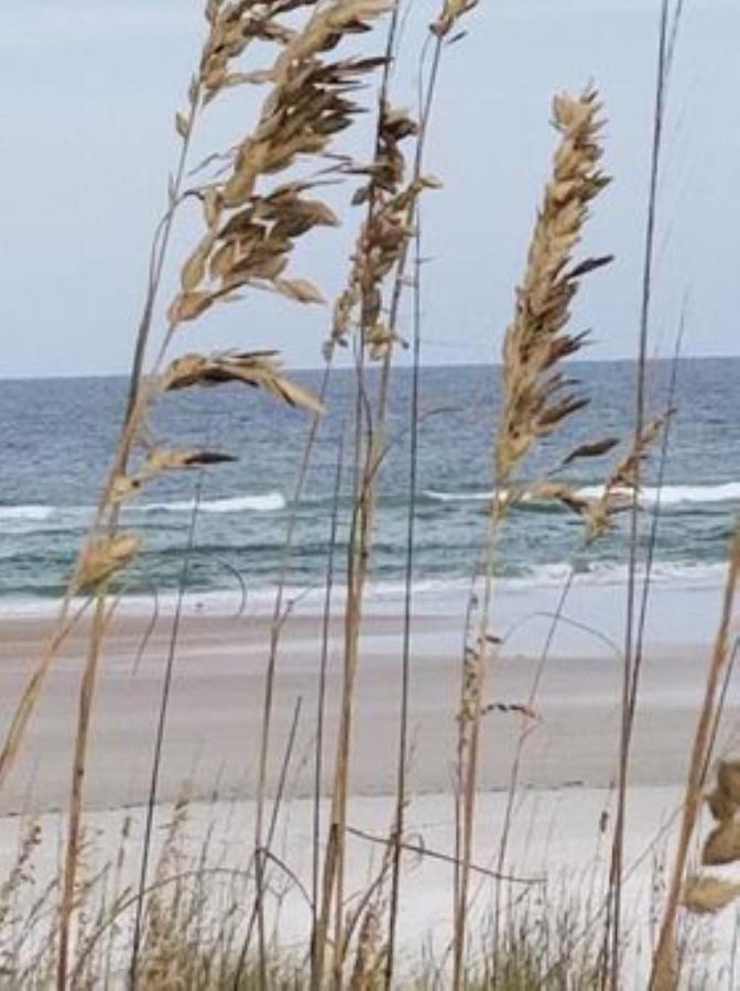 Aparthotel Island Life St. Augustine Beach Exteriér fotografie
